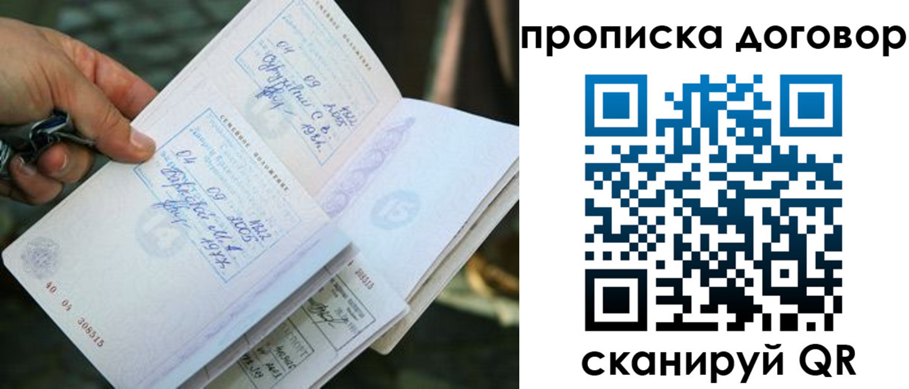 прописка для школы в Плавске